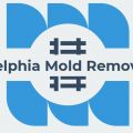 Jonathan Mold Remediation Philadelphia