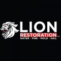 Lion Restoration LLC