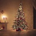 Tree Mold May Be The Cause Of Your Christmas Tree Allergy