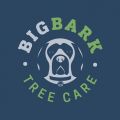 Big Bark Tree Care