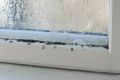 How To Limit Mold Growth In The Winter Months In Upstate, SC
