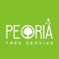 Peoria IL Tree Service and Care
