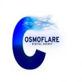 Cosmoflare Digital Agency