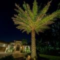 Outdoor Lighting Tips and Tricks