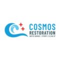 Cosmos Water Damage Restoration South-Austin
