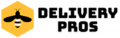 DELIVERY PROS INC