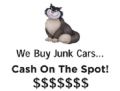 Junk Car Cat Miami