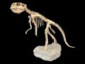 Full Dinosaur Skeleton and Items Pertaining to The Beatles, Elvis and JFK up for Bid Online Sept. 29