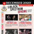 Black Spectrum Theatre Co. Inc. Announces Black Spectrum Home Video Series Subscription 2020-2021