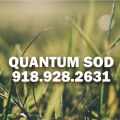 Quantum Sod