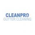 Clean Pro Gutter Cleaning Dallas
