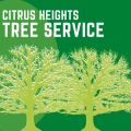 Citrus HeightsTree Service