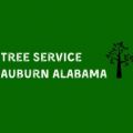 Tree Service Auburn Alabama