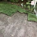 Sod Installation Pros