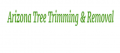 Arizona Tree Trimming And Removal Service