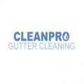 Clean Pro Gutter Cleaning Middleton
