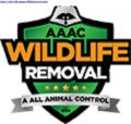 AAAC Wildlife Removal