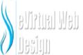 EVirtual Web Design Services Agency