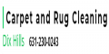Rug Cleaning Dix Hills