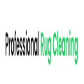 Professional Rug Cleaning
