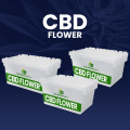 CBD Flower