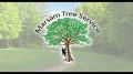 Marsam Tree Service