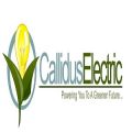 Calliuds Electric