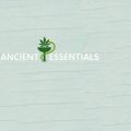 Ancient Essentials