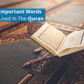 Learn 15 Important Words Used In The Quran!
