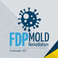 FDP Mold Remediation of Commack