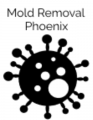 Mold Removal Phoenix