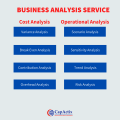 Business Analysis Services - Financial Analysis Services