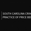 South Carolina Criminal Practice of Price Benowitz