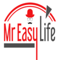 Mr. Easy Life