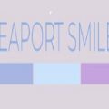 Seaport Smiles