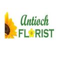 Antioch Florist
