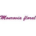 Monrovia Floral