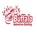 Buffaloautodetail