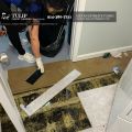 Tulip Carpet Cleaning New Rochelle: Mold Remediation Specialists