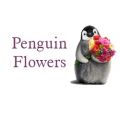 Penguin Florist & Flower Delivery