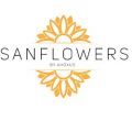 Sanflowers by Ahoxus