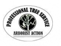 Tree Service Pros Deltona