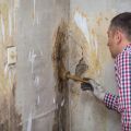 The Pros and Cons of Mold Testing