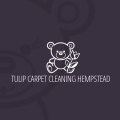 Tulip Carpet Cleaning Hempstead