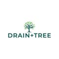 Drain + Tree