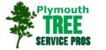 Plymouth Tree Service Pros