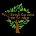 Tree Service Palm Beach Gardens