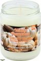 Smoke Odor Exterminator Candle - White Pumpkin