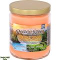Smoke Odor Exterminator Candle - Peace River
