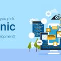 Significant reasons to choose Ionic for crafting Progressive Web Applications!
